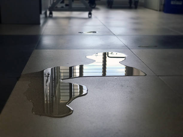 Best 24/7 water damage repair  in Plum Grove, TX