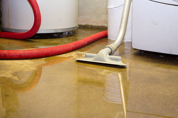 Best Water damage restoration cost  in Plum Grove, TX